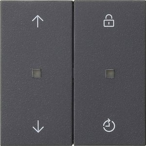 Фото Gira System55 536328 Клавиша двойная ("стрелки", индикация, антрацит)