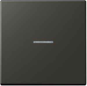 Фото Jung Le Corbusier LC990KO54320R Клавиша одиночная с окошком (ombre naturelle 59)