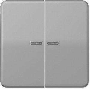 Фото Jung CD500 CD595KO5GR Клавиша двойная с линзой (серая)