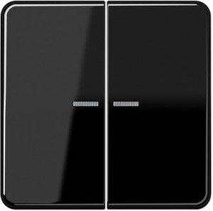 Фото Jung CD500 CD595KO5SW Клавиша двойная с линзой (черная)