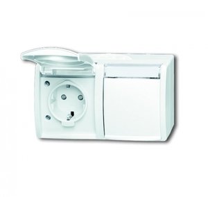 Фото ABB Ocean 2CKA002084A0723 Розетка двойная (16 А, IP44, горизонт., в сборе, крышка, шторки, о/у, з/к, альпийский-белый)
