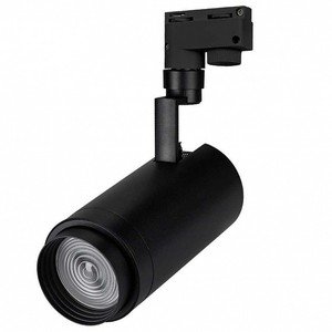 Фото Arlight 026612 Светильник светодиодный LGD-ZEUS-2TR-R100-30W Day5000