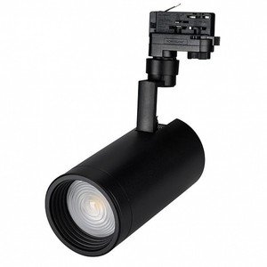 Фото Arlight 026618 Светильник светодиодный LGD-ZEUS-4TR-R100-30W Day5000