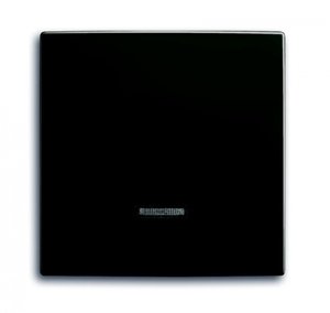 Фото ABB Basic55 2CKA006599A2994 Накладка светорегулятора нажимного (подсветка, подсветка, chateau-черный)