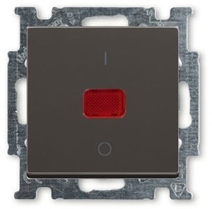 Фото ABB Basic55 2CKA001020A0092 Выключатель одноклавишный двухполюсной (20 А, индикация, под рамку, скрытая установка, chateau-черный)