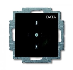 Фото ABB Basic55 2CKA002011A6143 Розетка с заземляющим контактом (16 А, маркировка, под рамку, скрытая установка, альпийский chateau-черный)