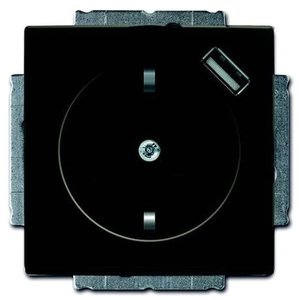Фото ABB Basic55 2CKA002011A6195 Розетка Schuko + USB (16 А, под рамку, скрытая установка, з/к, шторки, chateau-чёрный)