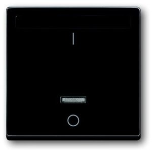 Фото ABB Carat/Future Linear 2CKA006020A1380 Накладка для реле (ИК-управление, подсветка, маркировка, антрацит/черный)