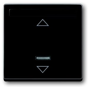 Фото ABB Carat/Future Linear 2CKA006020A1379 Накладка светорегулятора/жалюзи (ИК-управление, подсветка, маркировка, антрацит/черный)
