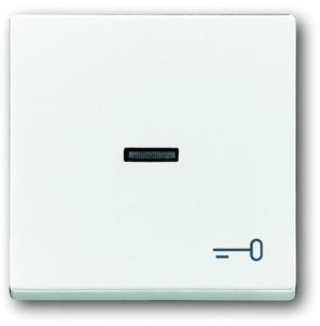 Фото ABB Carat/Busch-Axcent/Future Linear/Solo 2CKA001751A2755 Клавиша одиночная (линза, "ключ", белая)