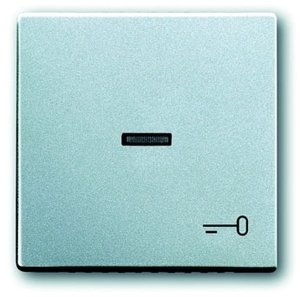 Фото ABB Future Linear 2CKA001751A2953 Клавиша одиночная (линза, "ключ", серебристо-алюминиевая)