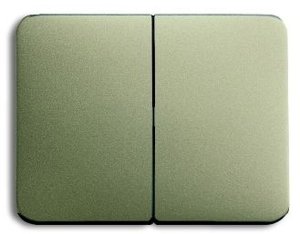 Фото ABB Alpha Nea, Alpha Exclusive 1751-0-3082 Клавиша двойная (с возм. подсветки, палладий)