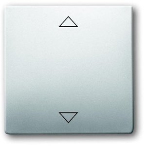 Фото ABB Pure steel 2CKA006430A0343 Клавиша жалюзийная одиночная (стрелки, сталь)