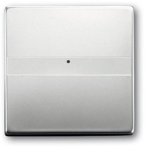 Фото ABB Pure steel 2CKA001731A1953 Клавиша одиночная (поле для надписи, сталь)