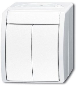Фото ABB Ocean 2CKA001484A0379 Кнопка без фиксации двухклавишная (10 А, поле для надписи, IP44, в сборе, открытая установка, альпийский белый)
