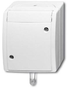 Фото ABB Ocean 2CKA001383A0143 Выключатель со шнуром (10 А, IP44, в сборе, открытая установка, альпийский белый)