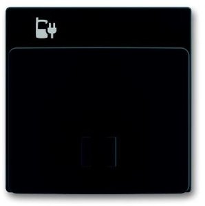 Фото ABB Династия/Carat/Future Linear 2CKA006400A0013 Крышка для зарядного устройства (USB, антрацит/черный)