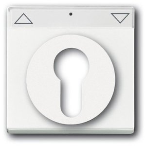 Фото ABB Carat/Future Linear/Solo/Busch-Axcent 2CKA001710A3175 Накладка для выключателя с ключом (маркировка, белая)