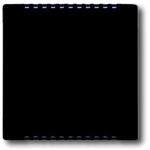 Фото ABB Carat/Future Linear 2CKA006599A2882 Накладка для усилителя мощности (маркировка, антрацит/черный)