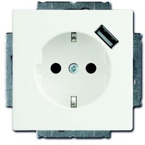 Фото ABB Carat/Future Linear/Solo/Busch-Axcent 2CKA002011A6179 Розетка с заземляющим контактом (16A, USBх1шт., под рамку, шторки, скрытая установка, белая)