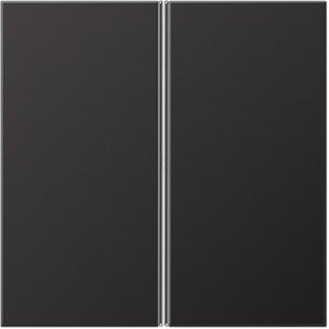 Фото Jung LS AL2402TSAD Комплект клавиш 2 группы для кнопочного модуля (dark)