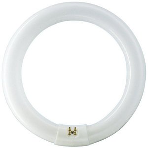 Фото Philips TL-E 871150055956215 Лампа люминесцентная кольцевая 32/33-640 32 Вт (G10Q, 4100K, Ø 299 мм)