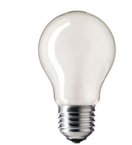 Фото Philips 872790002165384 Лампа накаливания A55 75 Вт (E27, 230 В, матовая, 97 мм)