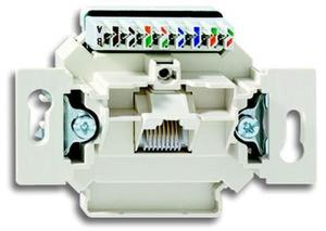 Фото ABB Busch-Jaeger 0230-0-0397 Розетка компьютерная (RJ45, cat.5e, механизм, скрытая установка)