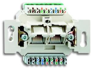 Фото ABB Busch-Jaeger 0230-0-0398 Розетка компьютерная (2xRJ45, cat.5e, механизм, скрытая установка)
