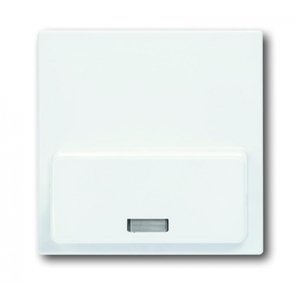 Фото ABB Basic55 8200-0-0171 Накладка для док-станции Busch-iDock (альпийский белый)
