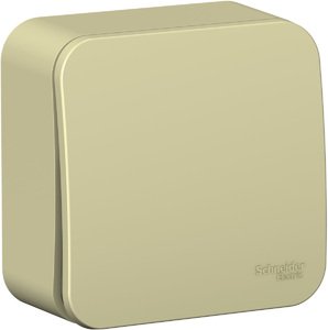 Фото Schneider Electric Blanca BLNVA101017 Выключатель 1-клавишный (10 А, в сборе, о/у, бежевый)