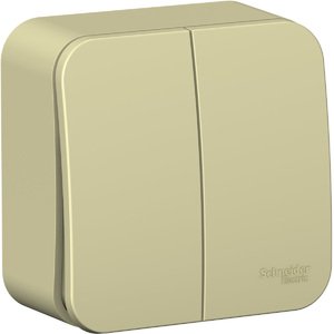 Фото Schneider Electric Blanca BLNVA105017 Выключатель 2-клавишный (10 А, в сборе, о/у, бежевый)