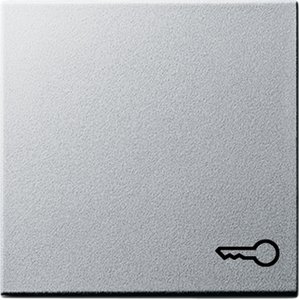 Фото Gira System55 028726 Клавиша одиночная ("ключ", алюминий)