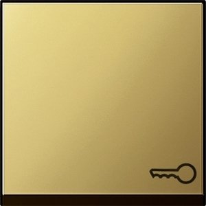 Фото Gira System55 0287604 Клавиша одиночная ("ключ", латунь)