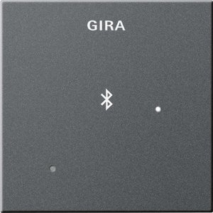 Фото Gira System55 228828 Накладка для док-станции (антрацит)