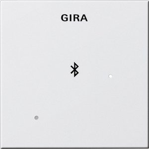 Фото Gira System55 228827 Накладка для док-станции (белая матовая)