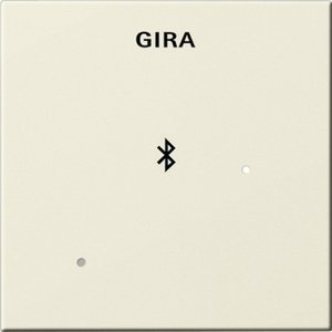 Фото Gira System55 228801 Накладка для док-станции (кремовая глянцевая)