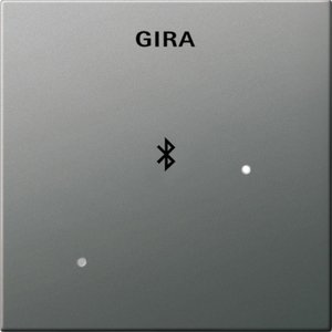 Фото Gira E2 2288600 Накладка для док-станции (нержавеющая сталь)
