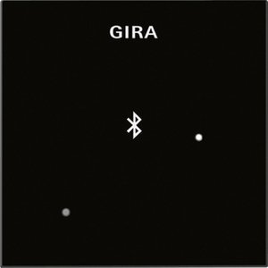 Фото Gira System55 228805 Накладка для док-станции (черное стекло)
