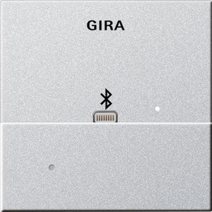 Фото Gira System55 228726 Накладка Apple Lightning для вставки док-станции (алюминий)