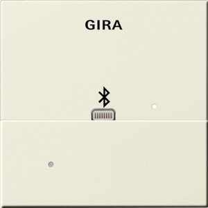 Фото Gira System55 228701 Накладка Apple Lightning для вставки док-станции (кремовая глянцевая)