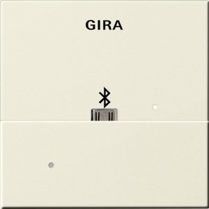 Фото Gira System55 228501 Накладка USB-микро-B для вставки док-станции (кремовая глянцевая)