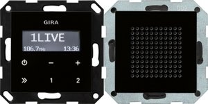 Фото Gira System55 228005 Радио с громкоговорителем (RDS, под рамку, скрытая установка, черное стекло)