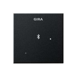 Фото Gira E2 2288005 Накладка для док-станции (черная матовая)