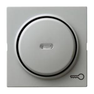 Фото Gira S-Color 028742 Клавиша одиночная (линза, "ключ", серая)