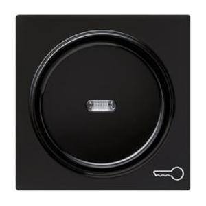 Фото Gira S-Color 028747 Клавиша одиночная (линза, "ключ", черная)