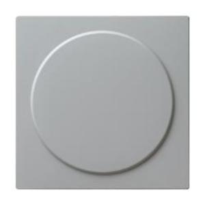 Фото Gira S-Color 026842 Заглушка (под рамку, скрытая установка, серая)