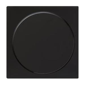 Фото Gira S-Color 026847 Заглушка (под рамку, скрытая установка, черная)