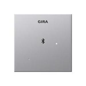 Фото Gira E22 2288203 Накладка для док-станции (алюминий)