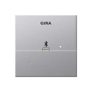 Фото Gira E22 2287203 Накладка Apple Lightning для док-станции (алюминий)